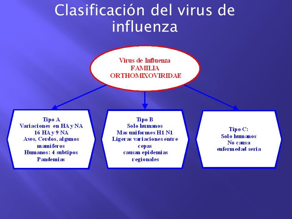 influenza tipo area unit tratamiento embarazo